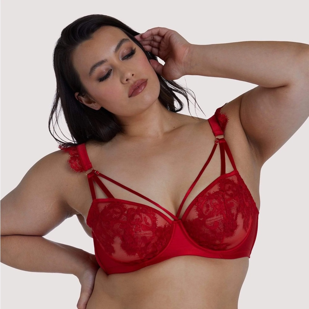 Playful Promises Anneliese Red Satin Net and Lace Bra